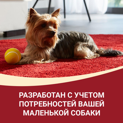 Корм Purina one Мини с индейкой-морковью-горохом в подливе для собак контроль веса, 85г Корм Purina one Мини с индейкой-морковью-горохом в подливе для собак контроль веса, 85г